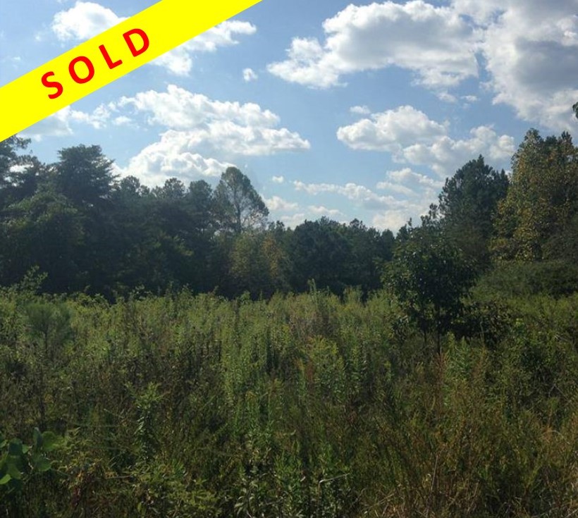 1312 Pea Ridge Rd Ball Ground, GA 30107