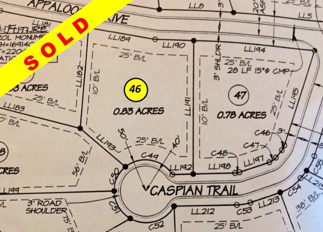 46 Appaloosa Drive Ellijay, GA 30536