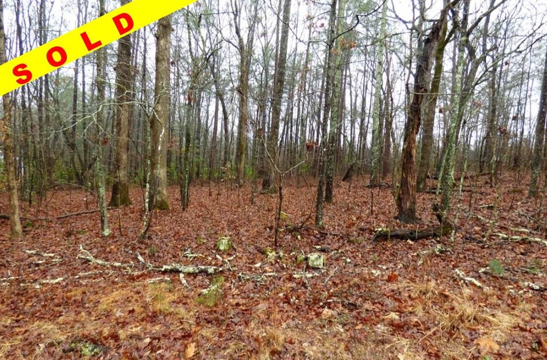 0 Fairview Rd Ball Ground, GA 30107