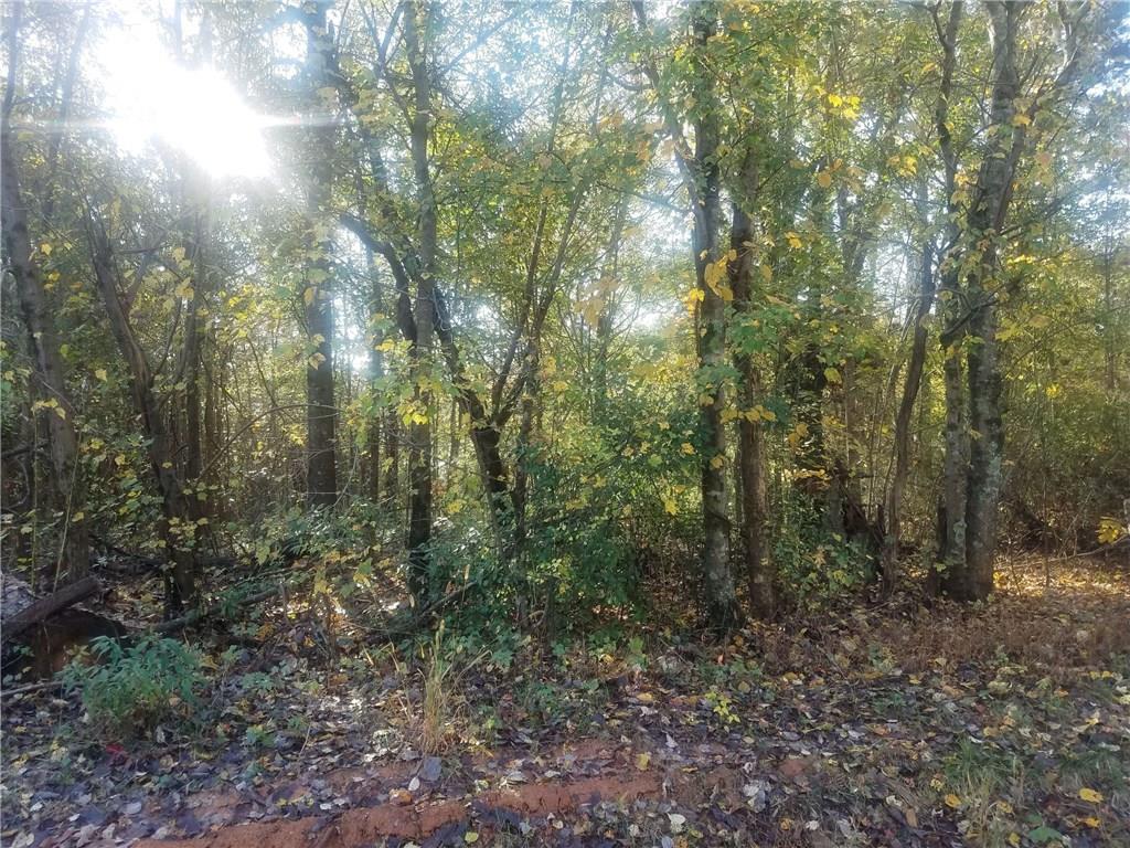 0 Scott Road Canton, GA 30115